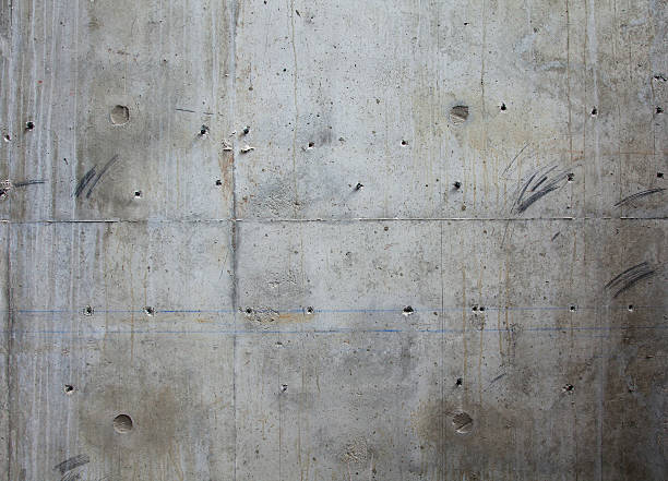 Best Concrete Contractor Near Me  in Fort Lee, VA